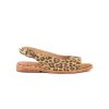 Zapato Gazania Feliza