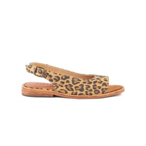 Zapato Gazania Feliza