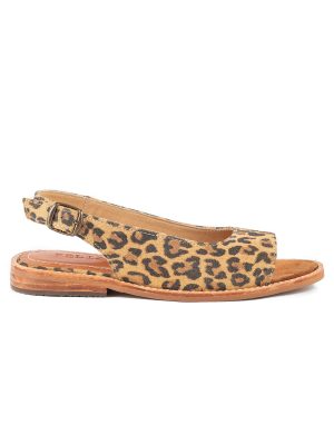 Zapato Gazania Feliza